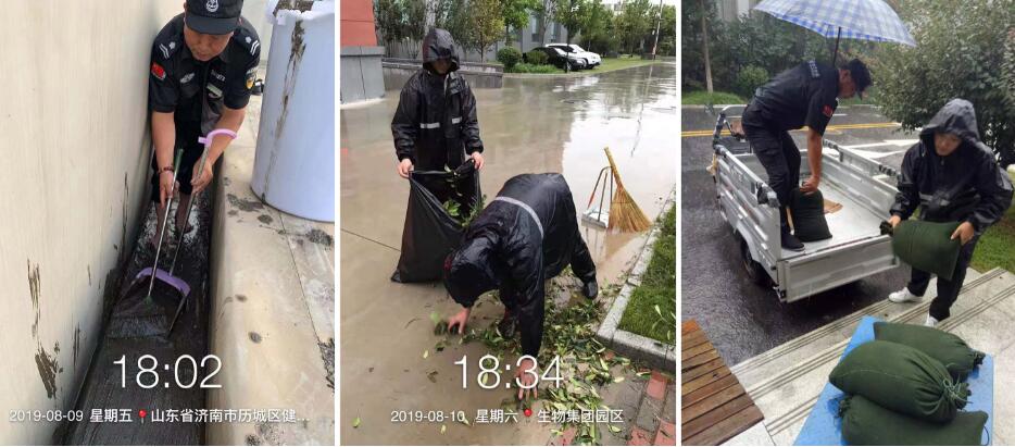 2025澳门官方网站资料