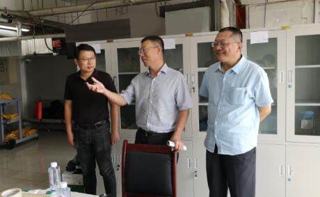2025澳门官方网站资料