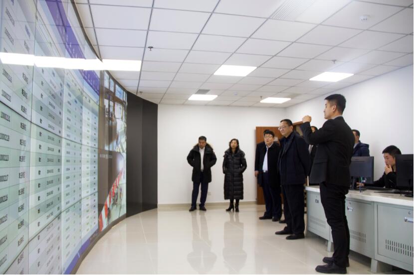 2025澳门官方网站资料