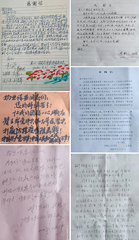 2025澳门官方网站资料