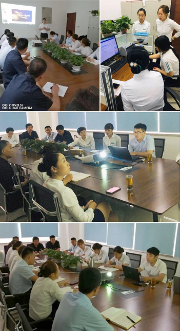 2025澳门官方网站资料