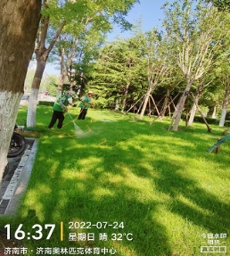 2025澳门官方网站资料