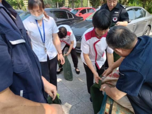 2025澳门官方网站资料