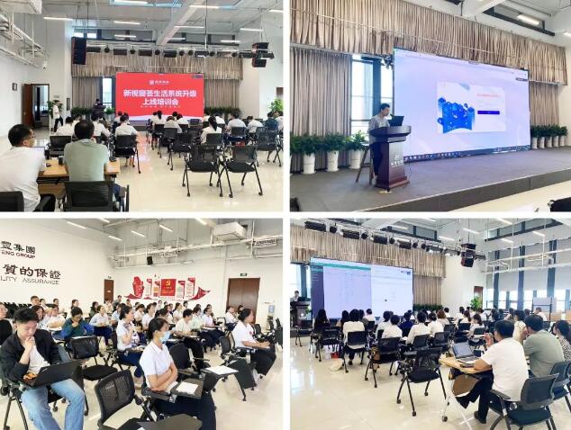 2025澳门官方网站资料