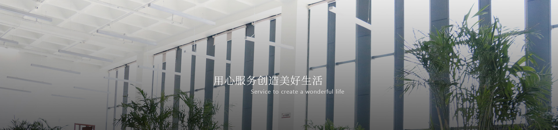2025澳门官方网站资料