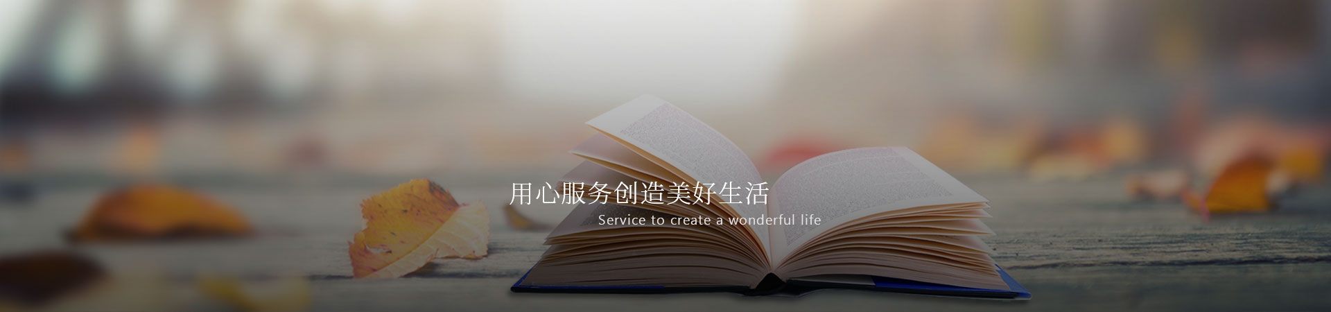 2025澳门官方网站资料