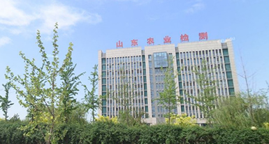 2025澳门官方网站资料