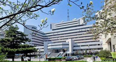 2025澳门官方网站资料