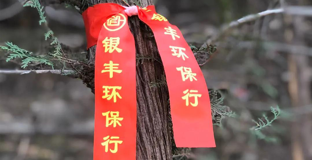 2025澳门官方网站资料