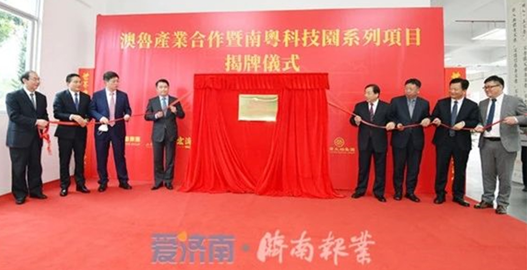 2025澳门官方网站资料