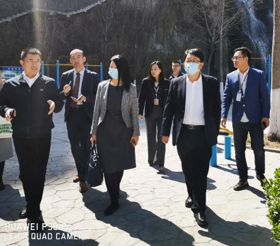 2025澳门官方网站资料