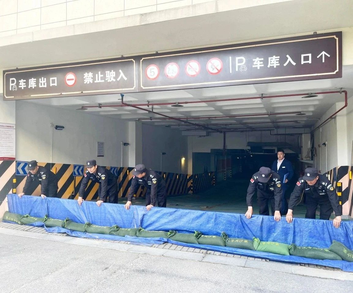 2025澳门官方网站资料