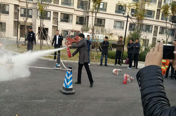 2025澳门官方网站资料